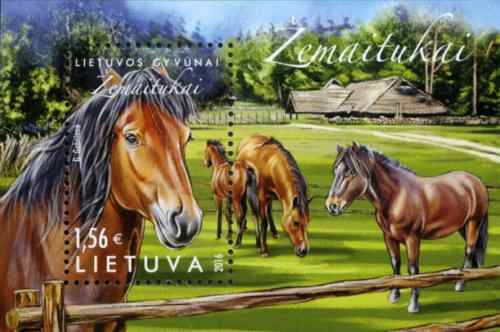 Zemaituka hästar