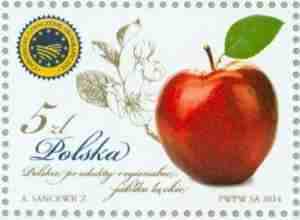 Polen 20140718 Polsk äpple