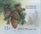 Ryssland frimärke 20130304 Picea obovata