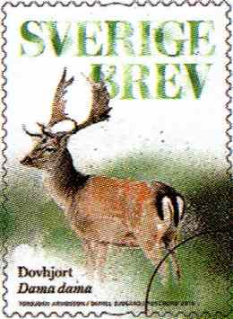 dovhjort