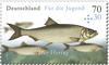 tyskland