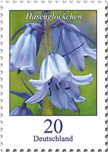 Klockhyacintt
